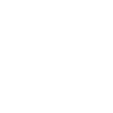 Detroit Tigers